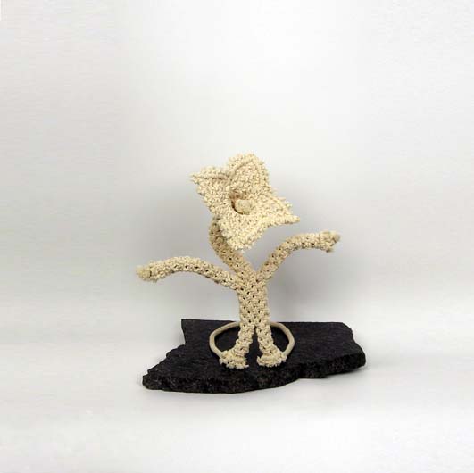 Flower by Darlyn Susan Yee